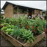 Huerta
