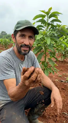 Reseña de Diego Quintero